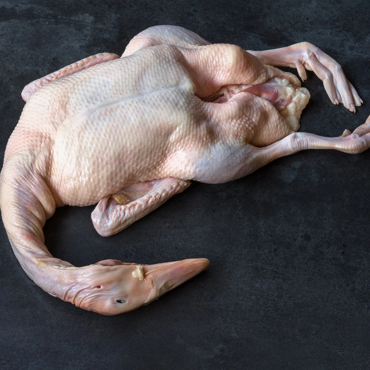 Whole duck
